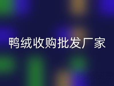 鸭绒收购批发厂家主营产品全解析