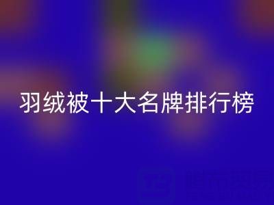 中国羽绒被十大名牌排行榜：权威盘点与选购指南