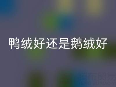 羽绒服是鸭绒好还是鹅绒好——羽绒生产厂家来解读