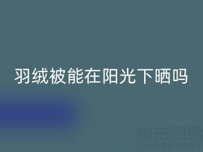 羽绒被能在阳光下晒吗？——上海鸭绒开云手机入口官网厂家揭秘