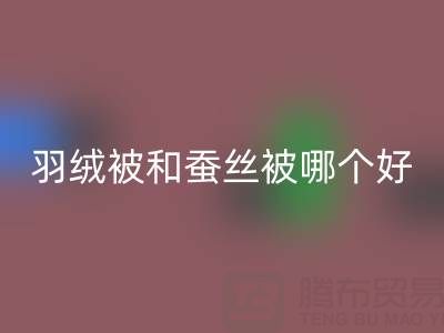 羽绒被和蚕丝被哪个好？——上海鸭绒开云手机入口官网厂家深度剖析
