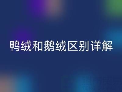 鸭绒和鹅绒区别详解及羽绒收购资源指南