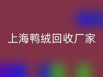 羽绒被内胆布料选购指南：上海鸭绒开云手机入口官网厂家的专业建议