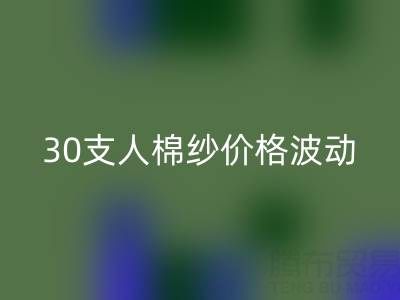 30支人棉纱价格波动剖析：棉纱开云手机入口官网市场的新风向标