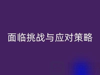 库存染料开云手机入口官网公司面临的挑战与应对策略